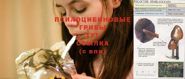 экстази Заводоуковск