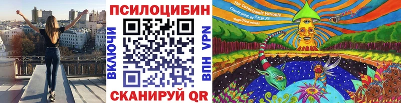 Купить  Гаврилов-Ям  Псилоцибиновые грибы MAGIC MUSHROOMS 